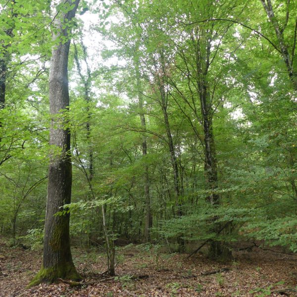 P1100487